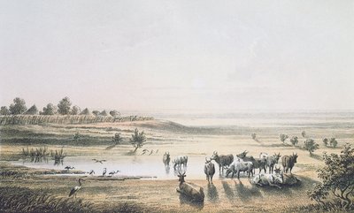 J. Woelfjleによって彫刻されたハインリッヒバースの「北アフリカと中央アフリカの旅と発見」からの1851年のチャドの国境、1857年に出版（カラー彫刻） 作： Johann Martin Bernatz